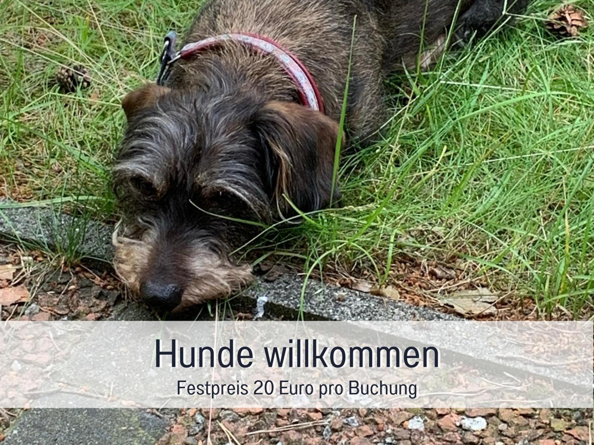 Ferienhaus Dackelglueck Schmallenberg Zewnętrze zdjęcie