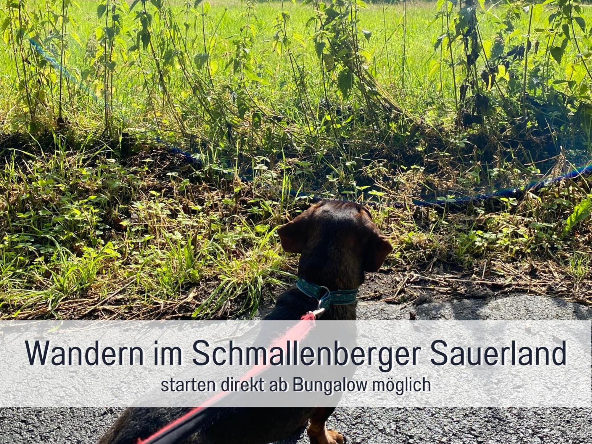 Ferienhaus Dackelglueck Schmallenberg Zewnętrze zdjęcie